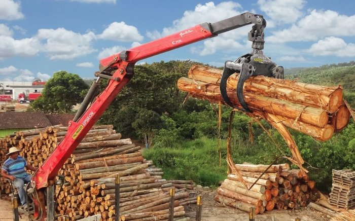 EPSILON C70 L 77 (для леса) Зарубежное