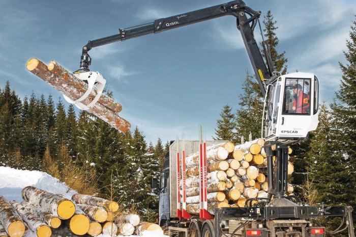 EPSILON Q150 L CAM ( для леса) Зарубежное