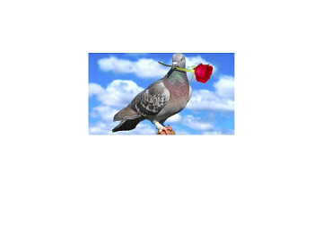 поздравляем с майскими праздниками картинка